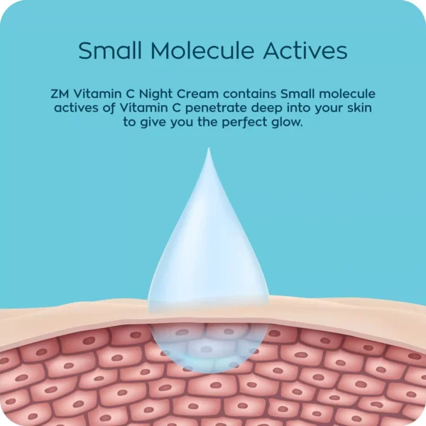 8904406198045_7 ZM Zyan & Myza Vitamin C Night Cream | Brightening Cream For Rejuvenated & Glowing skin | Fades Dark Spots | For all skin types | SLS & Paraben free - 50gm - Image 7