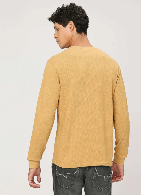 8905875057338_3 PEPE JEANS CREW NECK FULL SLEEVE CREAM COLOR T-SHIRT - Image 3